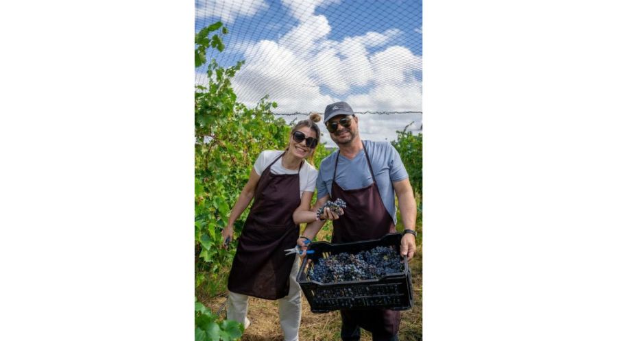 Vitis Boutique: El sueño de nuestro vino