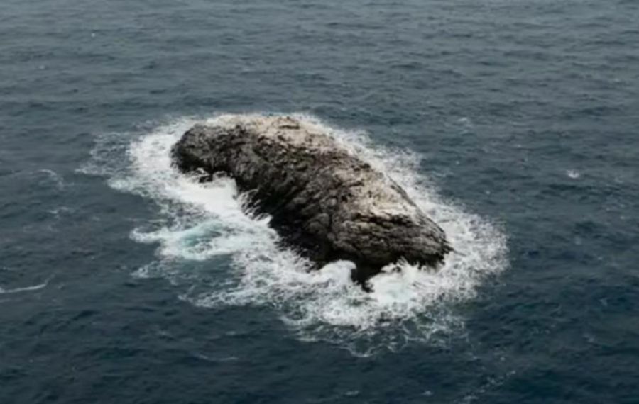 2804_isla antártida