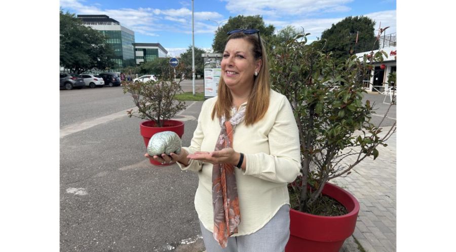 La importancia de las Neurociencias en la educación