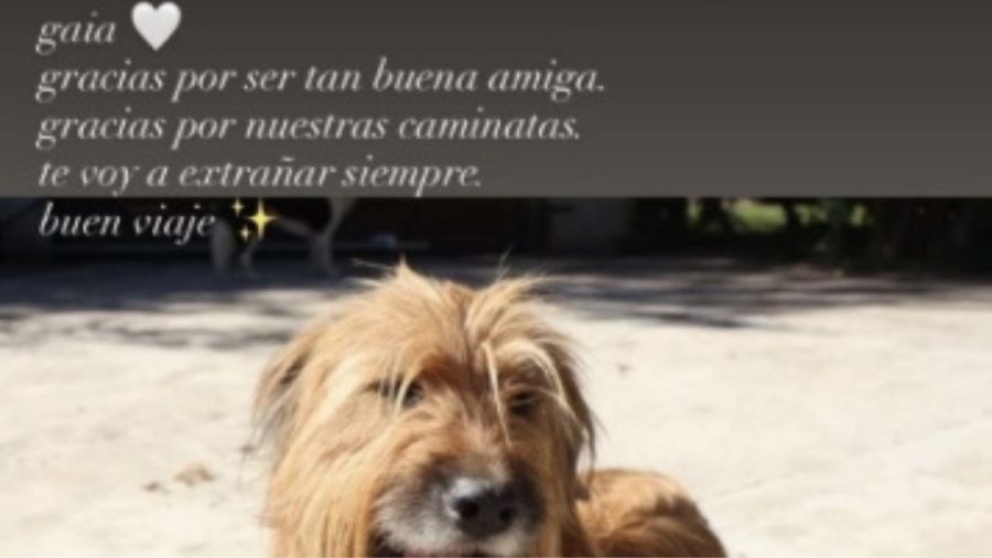 Mensaje de Muna Pauls