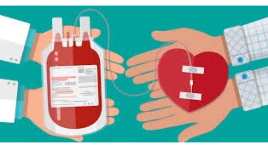 Mitos y verdades sobre la donación de sangre y médula ósea