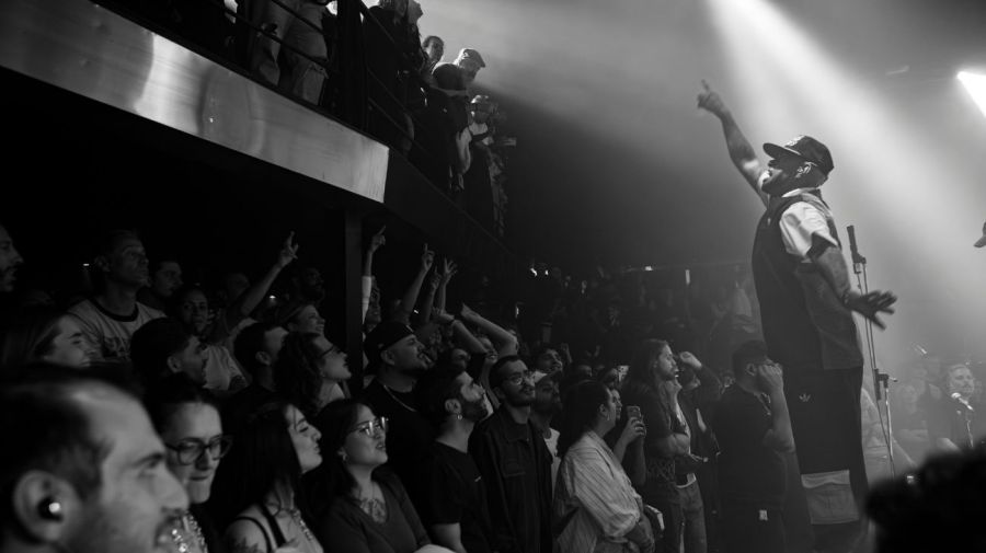 Cindy Cats en Amerika