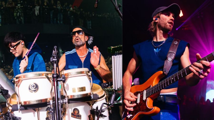 Cindy Cats en Amerika