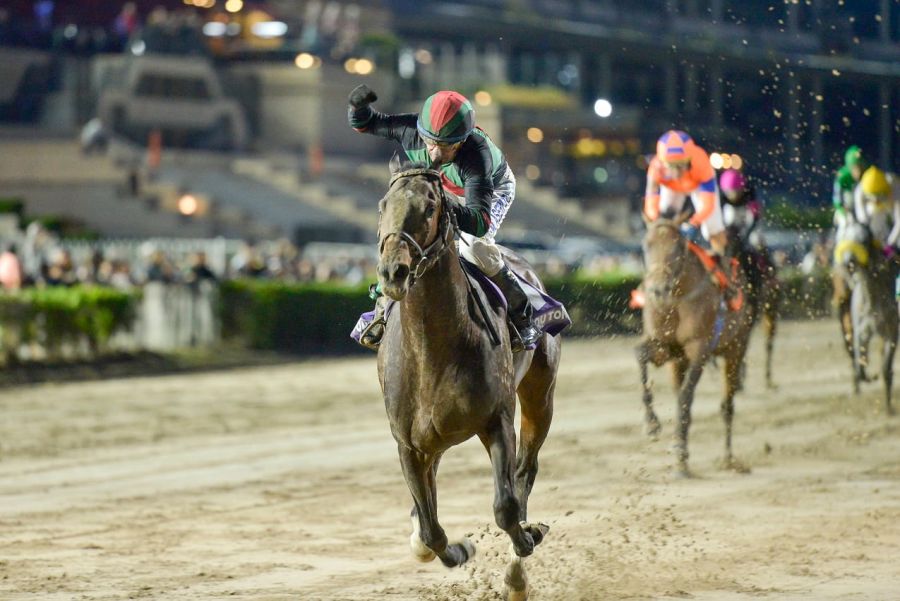150añosHipodromo
