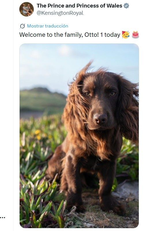 Otto, el perro de los príncipes de Gales
