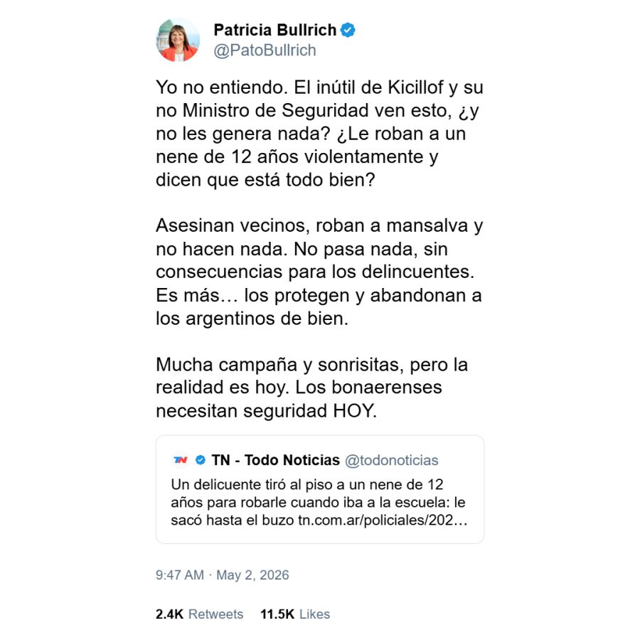 Posteo de Patricia Bullrich contra Javier Alonso