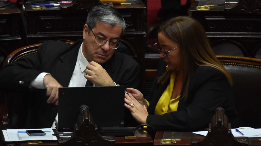 Germán Martínez y Cecilia Moreau, en la sesión de Diputados.