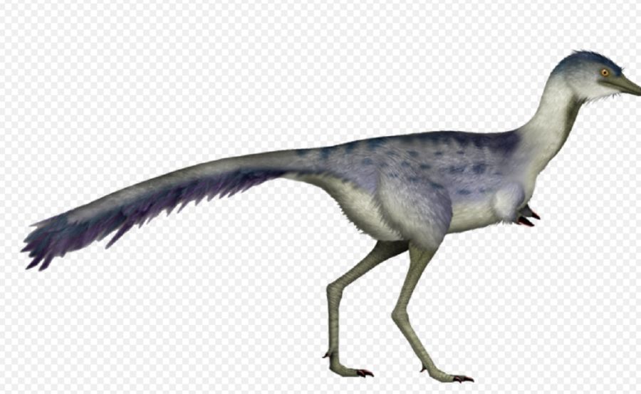 0405_dinosaurio