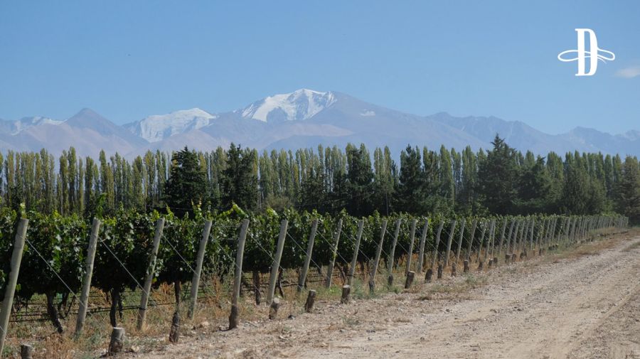 Bodega Atamisque en Delirio