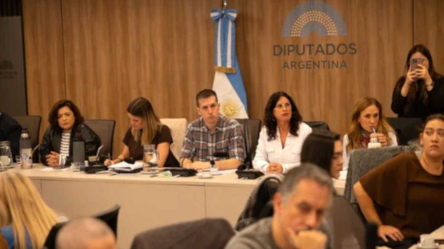 Diputados: insisten con el pedido de juicio político a Lugones 04052026