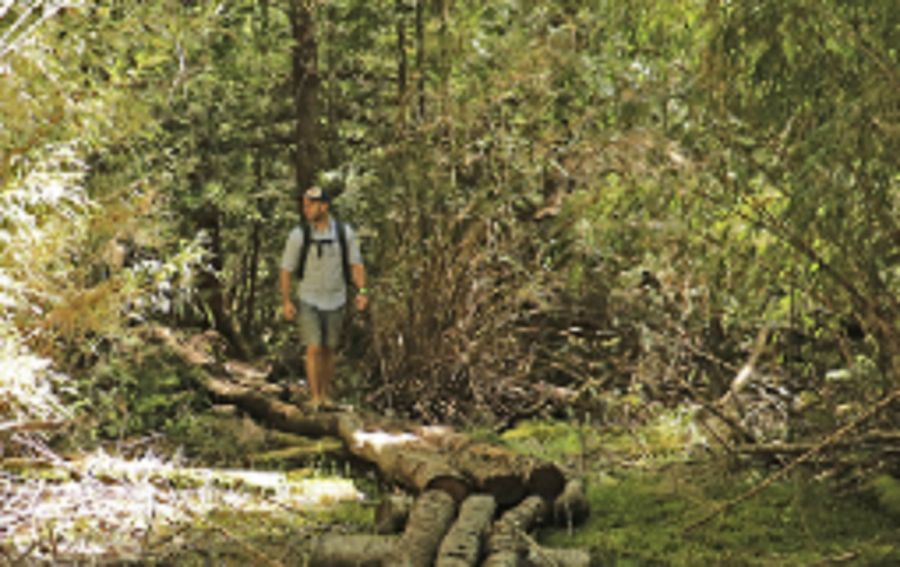 0505_PARQUES NACIONALES 
