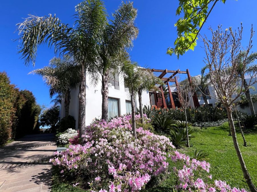 Estudio Gardenia