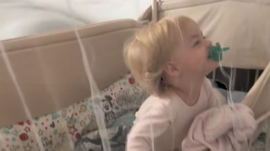 Marley y Milenka