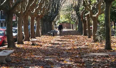 AMBA: ¿Cómo estará el clima este fin de semana?