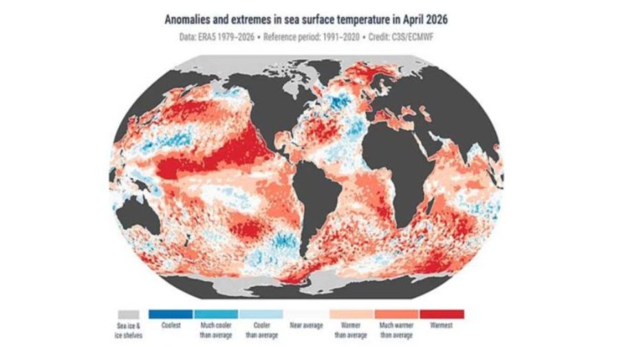 el niño