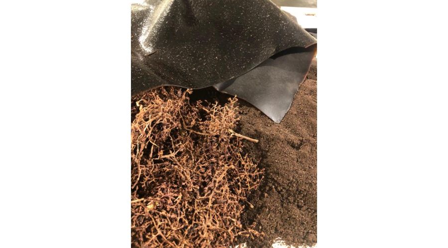 Bioeleven: cómo una startup mendocina transforma residuos agroindustriales en biomateriales sostenibles