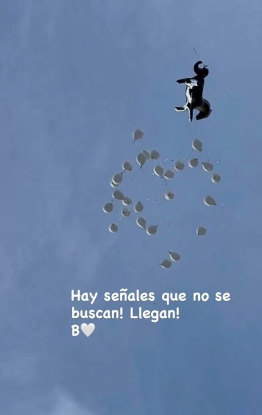 Suelta de globos para Blanca, la hija fallecida de Pampita y Benjamín Vicuña