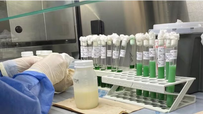 Banco de Leche Humana del Hospital Materno Neonatal 