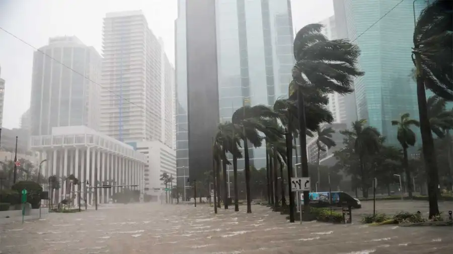 Miami Ciclones 19052026