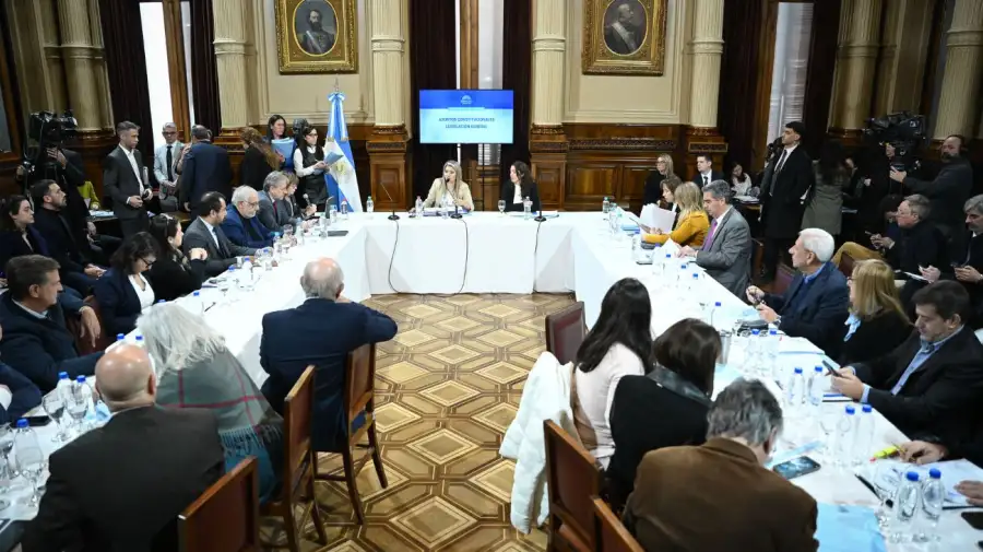 La Comisión de Asuntos Constitucionales del Senado debatió en plenario el proyecto de propiedad privada