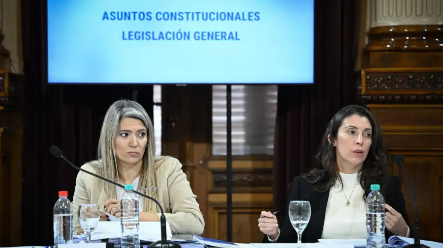 Nadia Márquez (LLA) presidió el plenario de la Comisión de Asuntos Constitucionales en el Senado