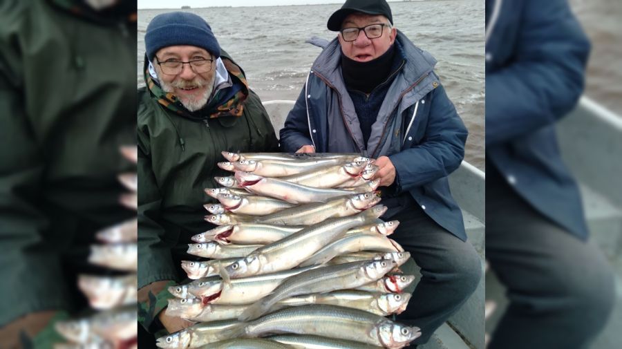 2202_mapa_pique_pesca