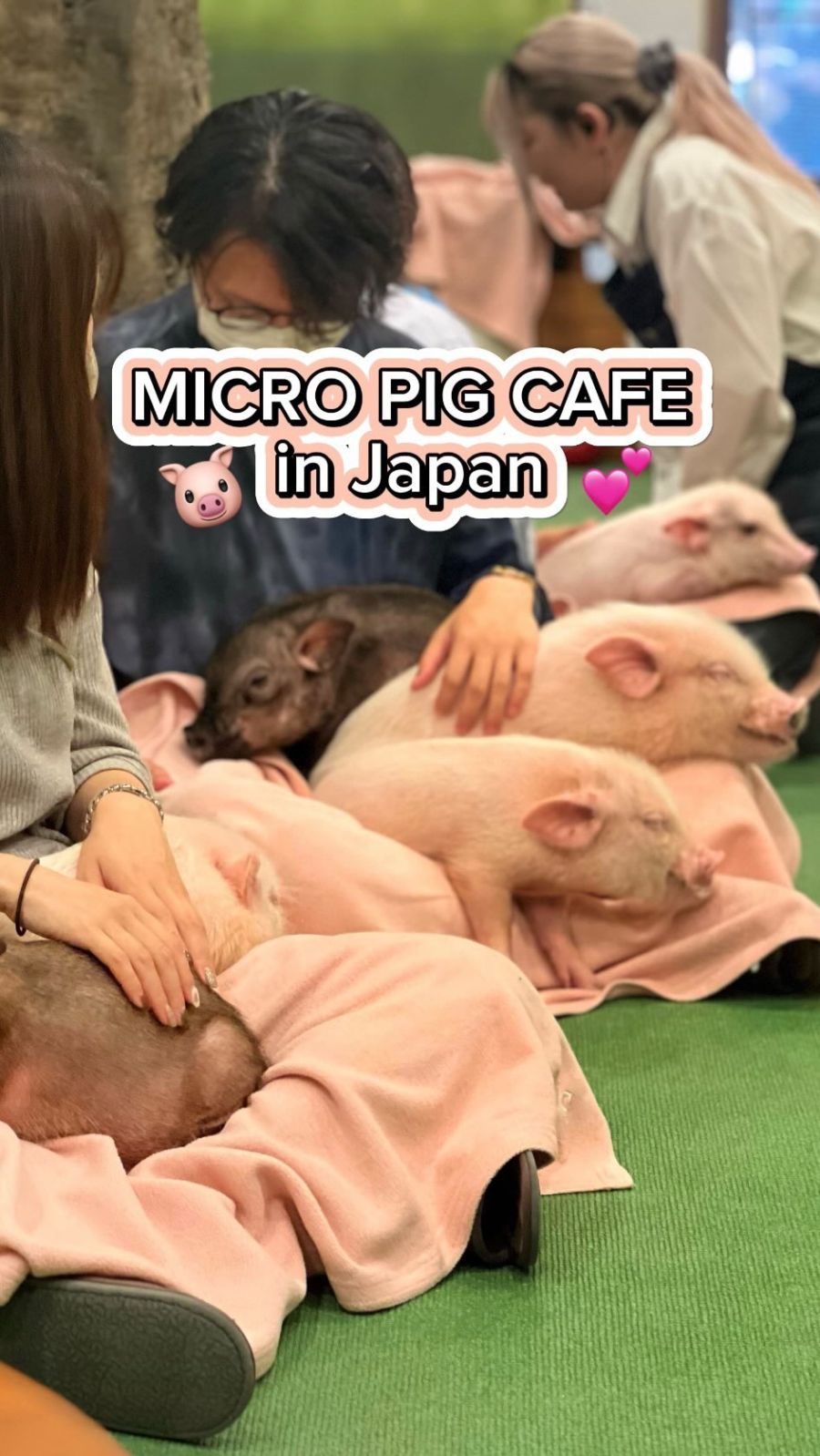 China Suárez, Mauro Icardi
