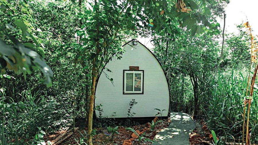 Glamping