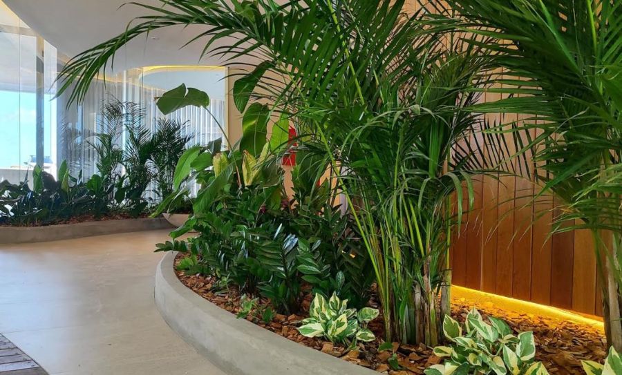 jardín