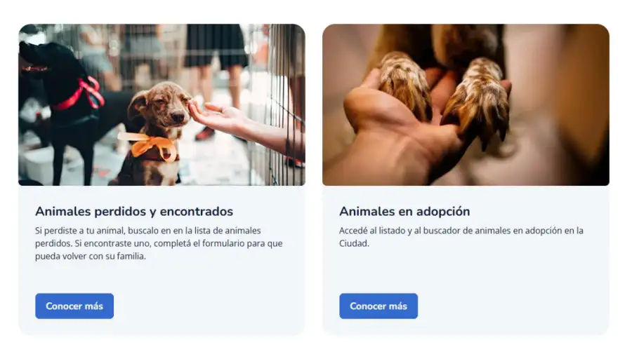 Animales BA