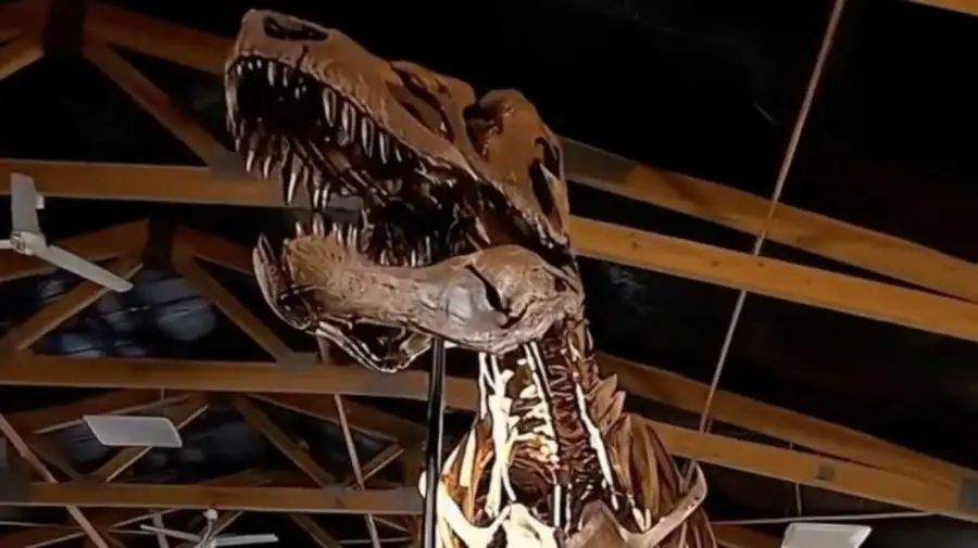 Gus el Tiranosaurio Rex gigante que se subasta en Nueva York 27052026