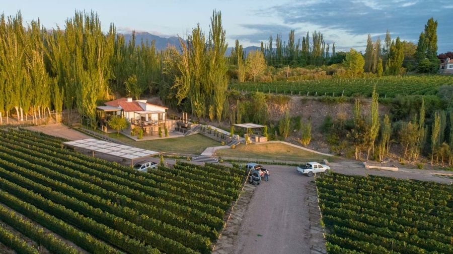 Finca Bandini