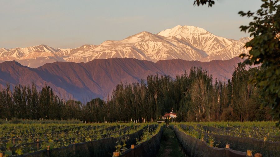 Finca Bandini sobre la cordillera de Los Andes