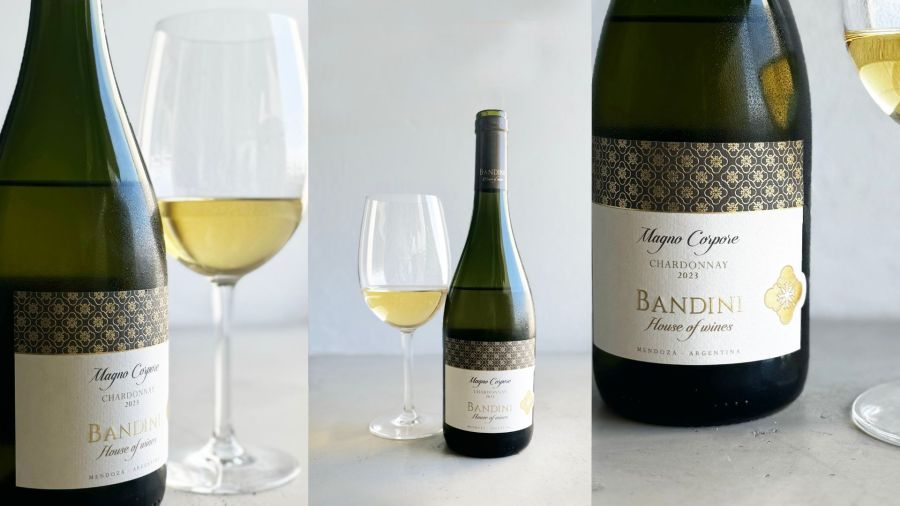 Nuevo Chardonnay Magno Corpore