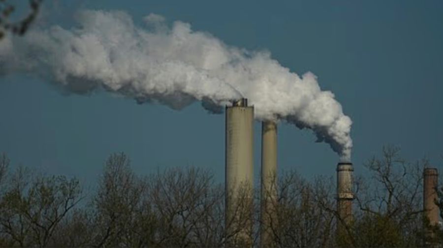 Sesenta minutos de exposición a la contaminación
