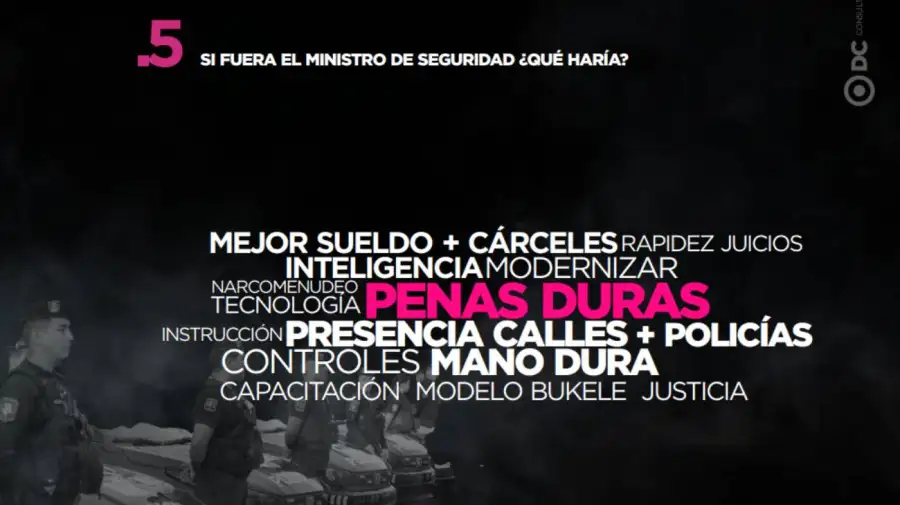Encuesta Mendoza 29052026