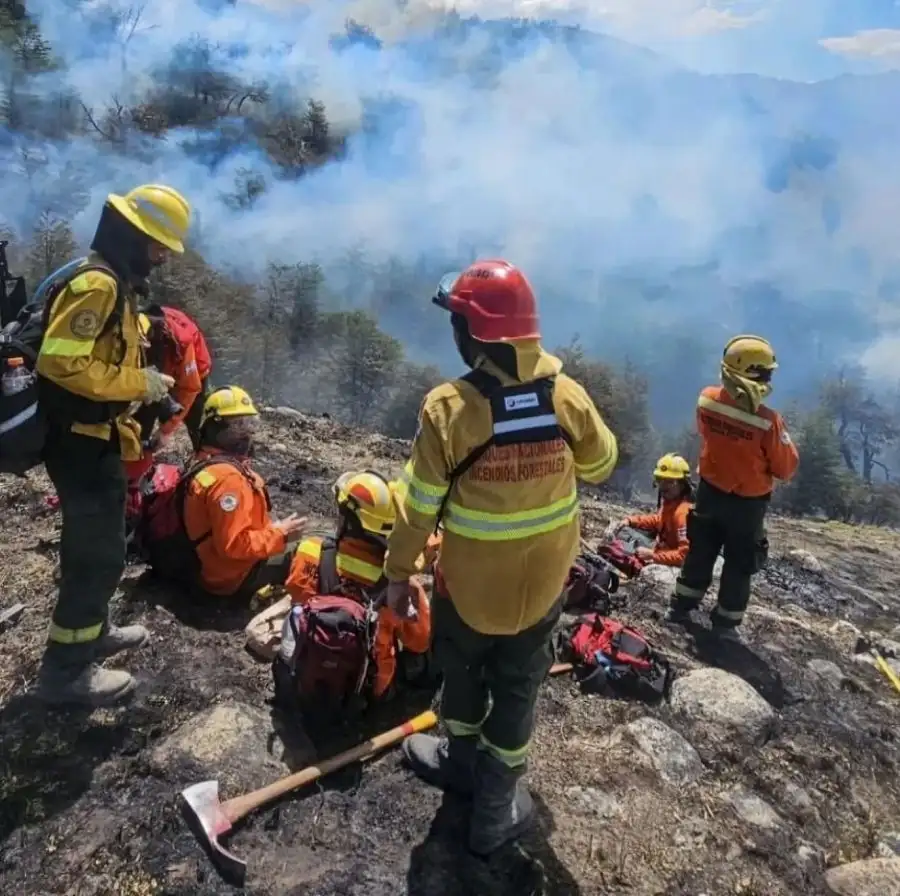 Informe incendios