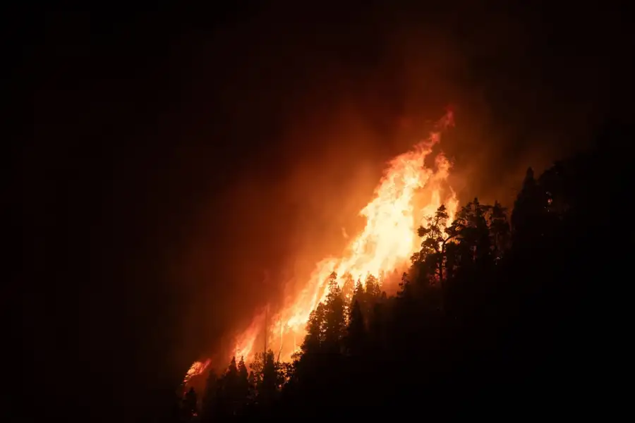 Informe incendios