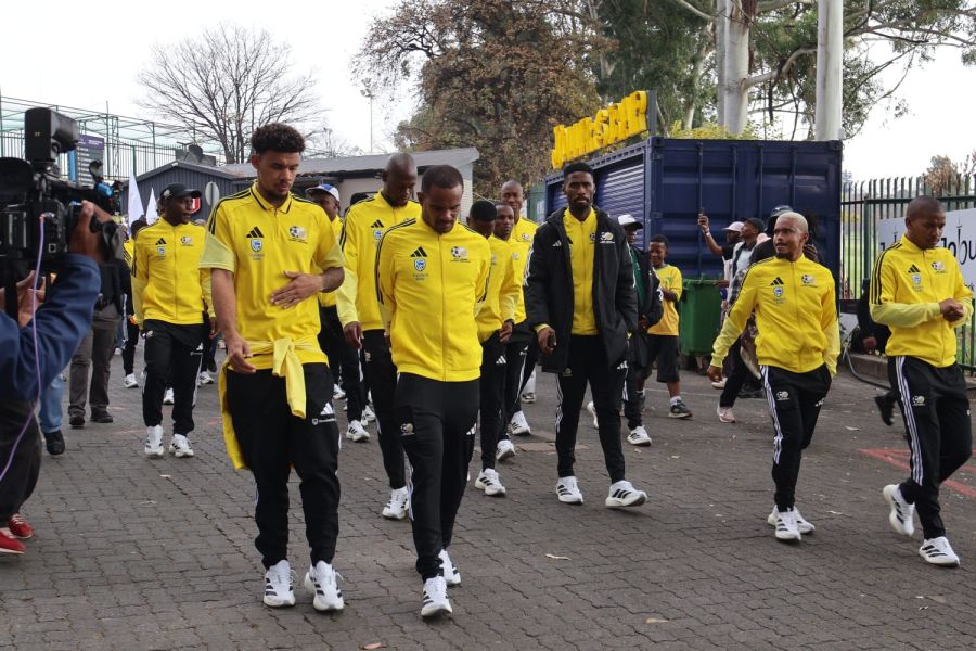 Selección de Sudafrica