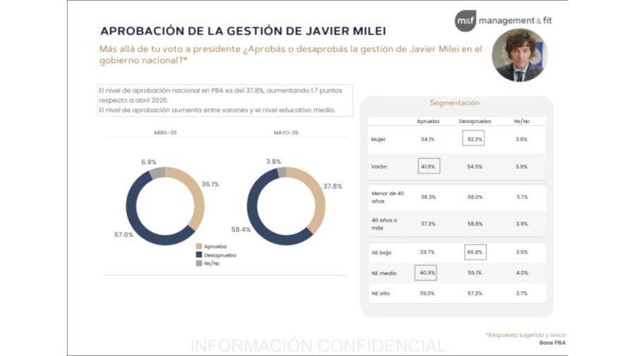 Graficos 02062026