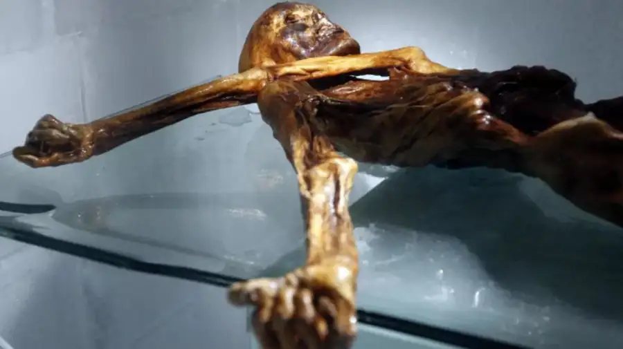 Aparecieron los restos de un hombre asesinado hace 5.300 años