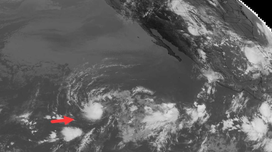 Amanda tormenta tropical 04062026