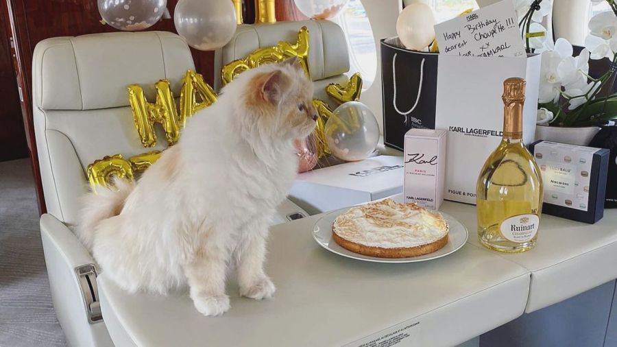 Choupette, la gata de Karl Lagerfeld