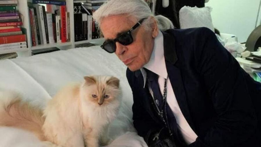 Choupette, la gata de Karl Lagerfeld