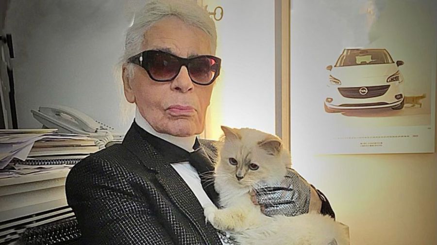 Choupette, la gata de Karl Lagerfeld