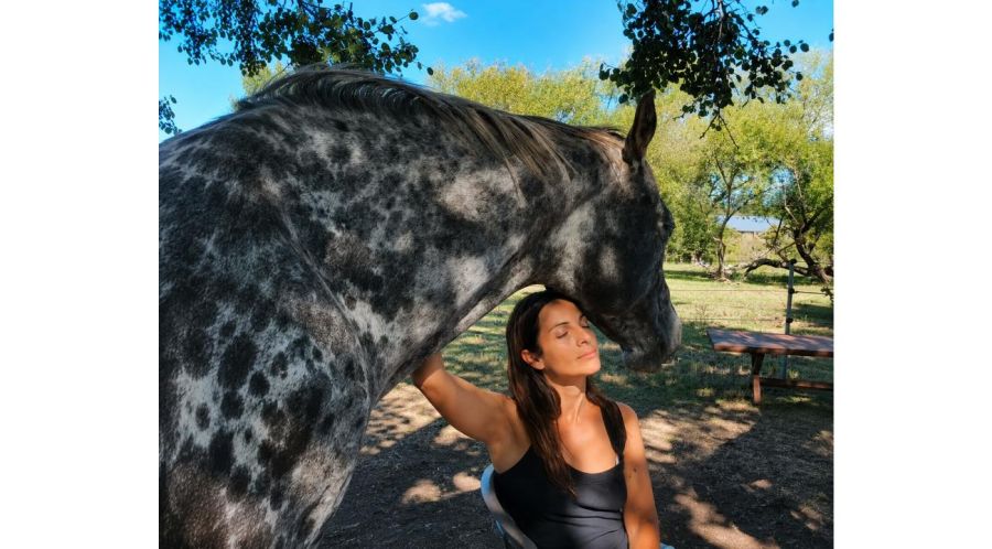El caballo como un espejo emocional inmediato