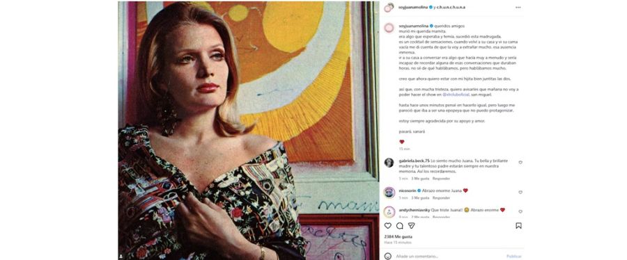 Juana Molina despidió a Chunchuna Villafañe