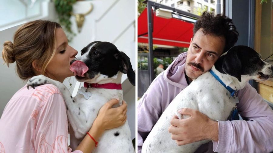 Violeta Urtizberea, Martín Garabal