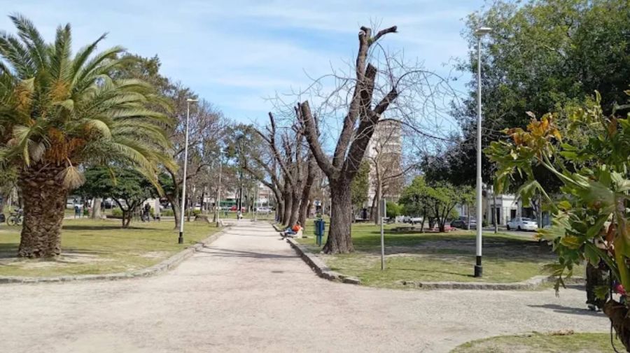 Parque Domínico, Avellaneda 06062026