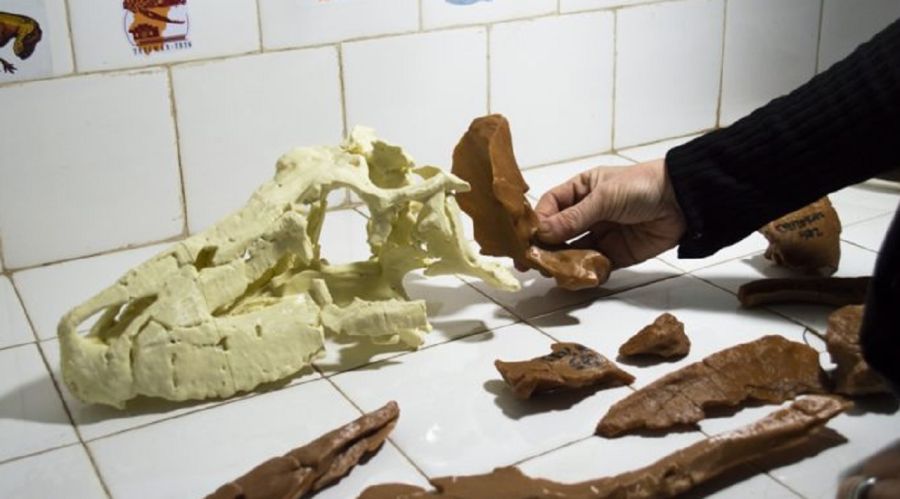 0906_DINOSAURIO
